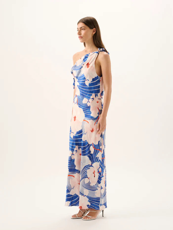 ROAME - TABITHA MAXI DRESS - IPANEMA