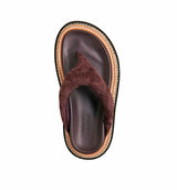 ALIAS MAE - VEDI - PLUM SUEDE